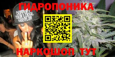 марихуана Будённовск