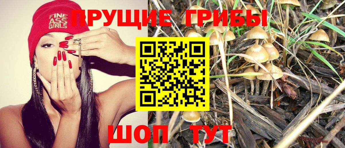 Мирный  Псилоцибиновые грибы MAGIC MUSHROOMS  Вход с VPN  хочу   Псилоцибиновые грибы Psilocybine cubensis 